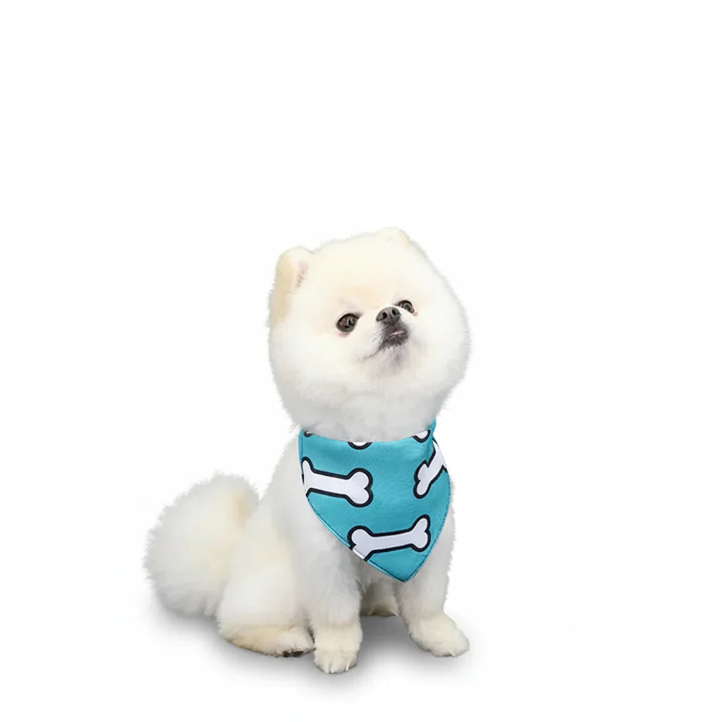 Bandana Pour Chien bleu avec os blancs