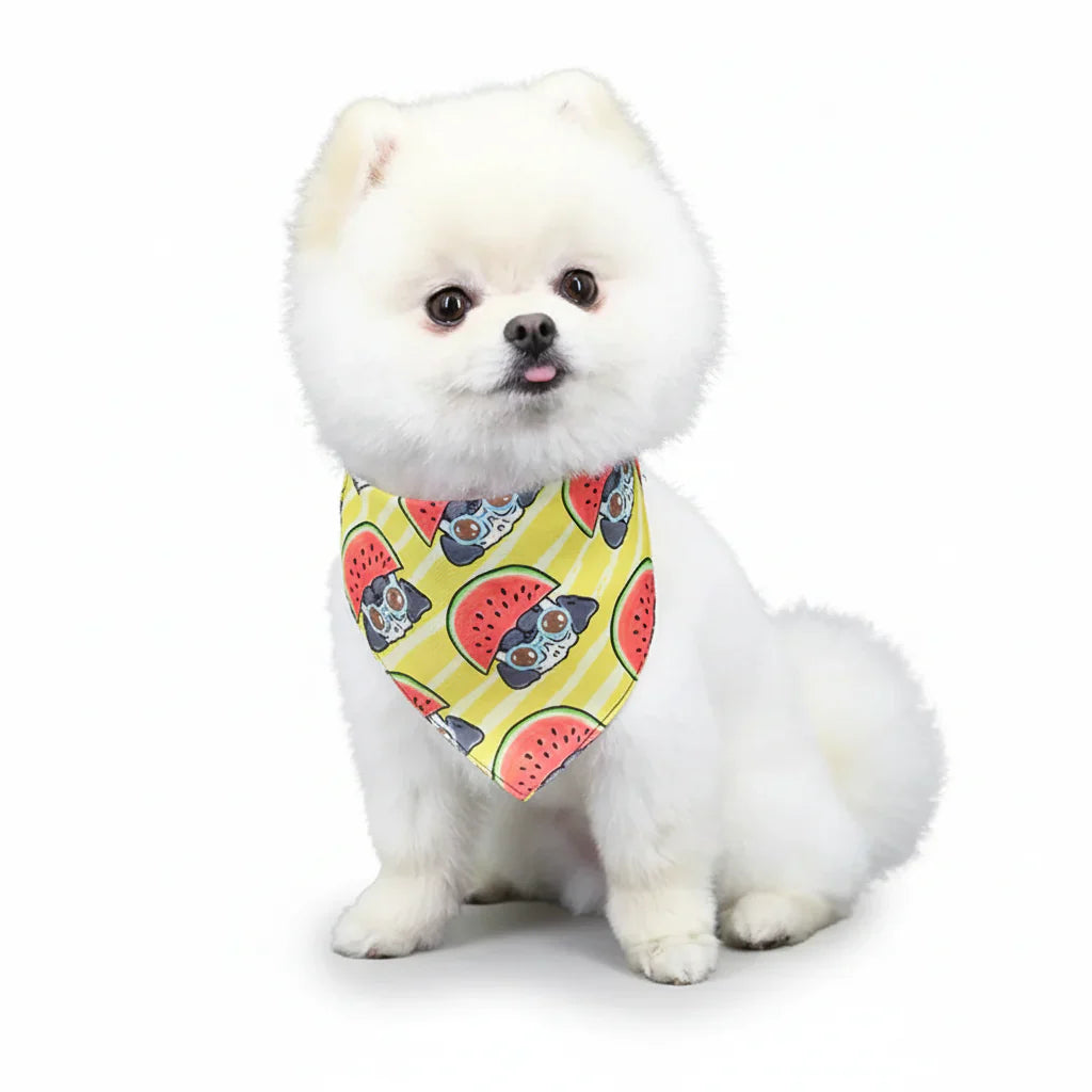 Bandana Pour Chien jaune avec pastèques et chien