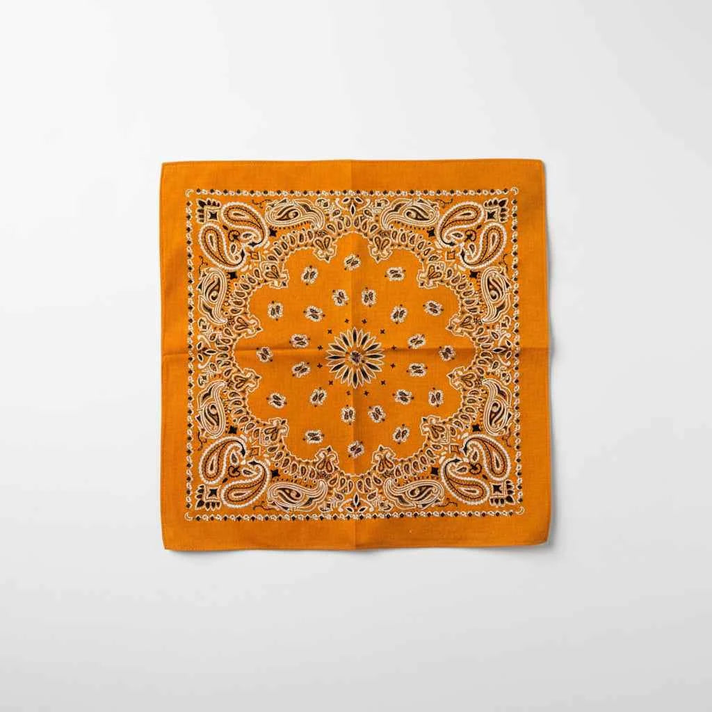 Bandana pirate orange - BoucleAura