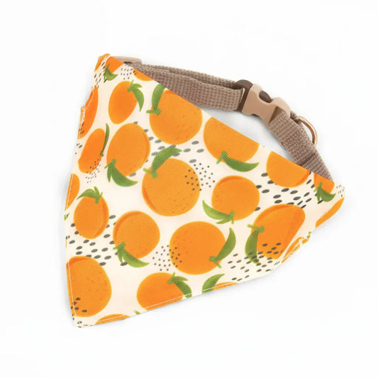 Bandana Pour Chien orange aux motifs agrumes