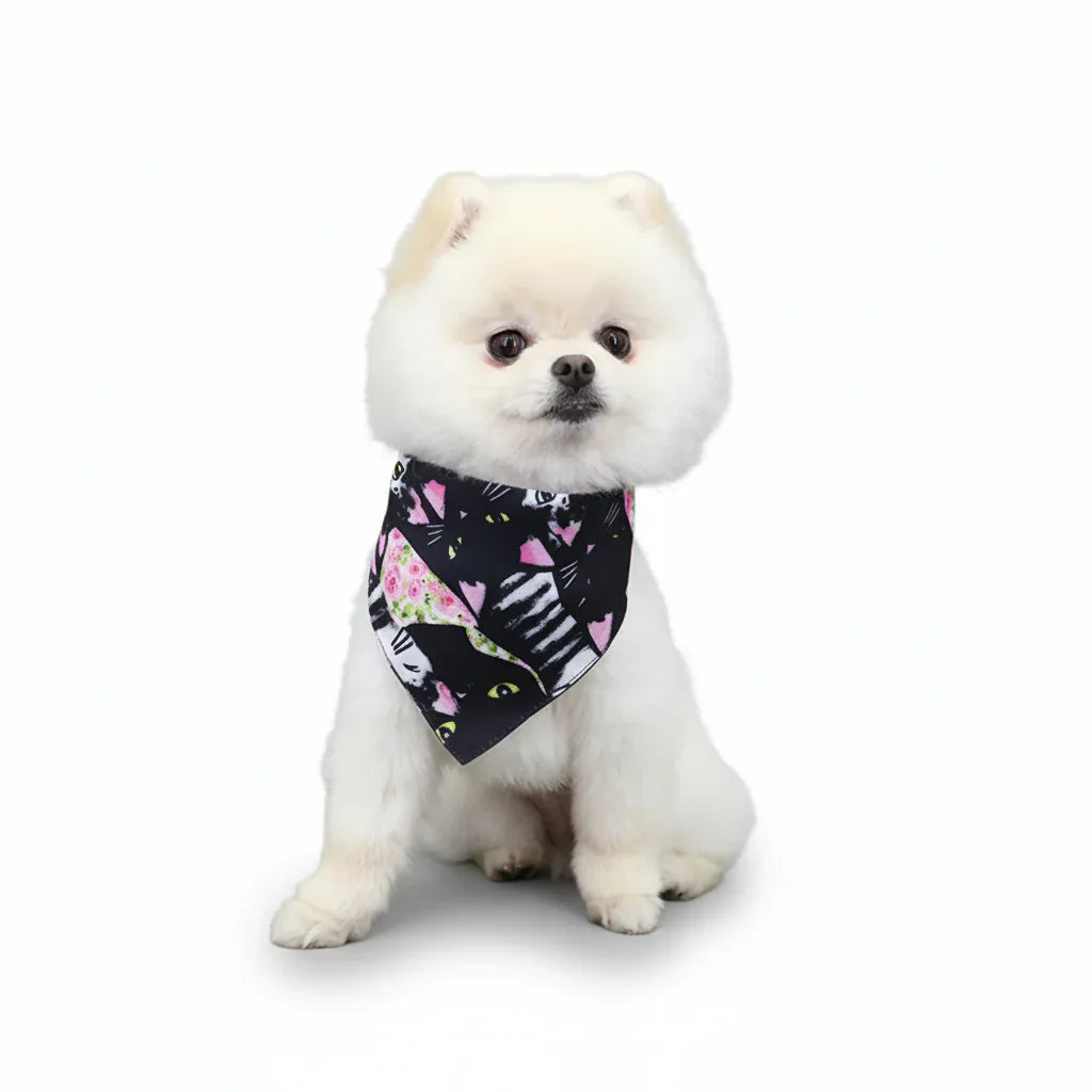 Bandana Pour Chien multicolore avec chats noirs