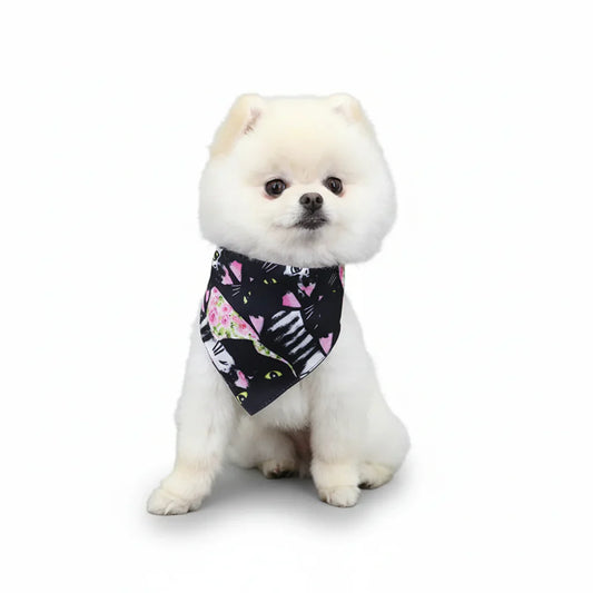 Bandana Pour Chien multicolore avec chats noirs