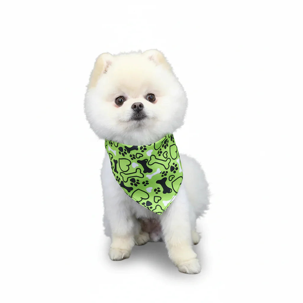 Bandana Pour Chien vert avec os et pattes