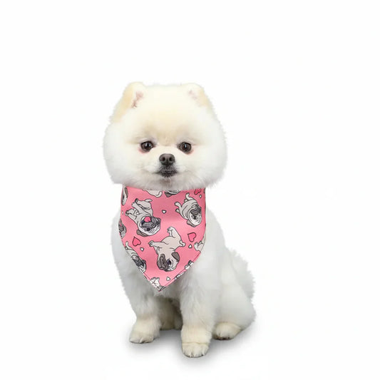 Bandana Pour Chien rose avec motifs carlin