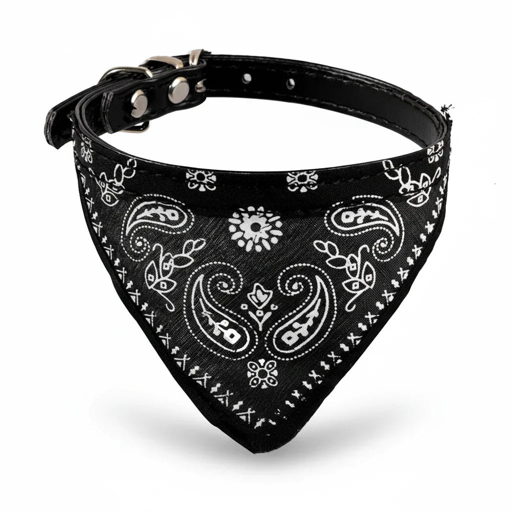 Bandana Pour Chien noir à motif cachemire