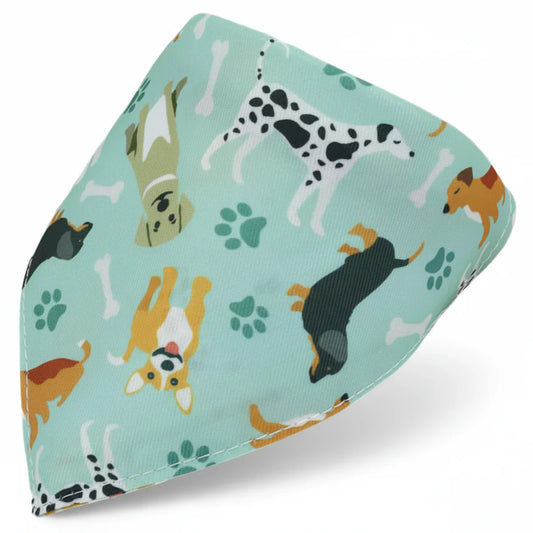 Bandana En Coton vert avec chiens cartoon